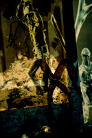 Projection II E