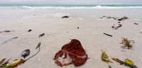 KeyWest-5289-Edit