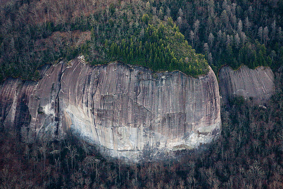 ArtyWS120109306