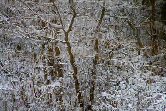 ElmHillPond012611_063