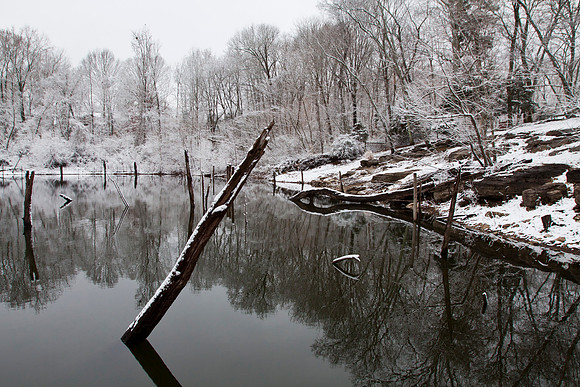 ElmHillPond012611_033