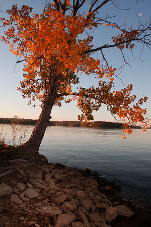 PercyPreistFall08-022