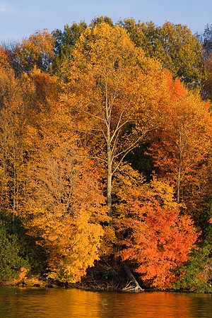 PercyPreistFall07-8485
