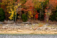 LateFall110210133