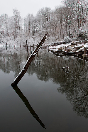 ElmHillPond012611_034