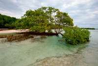 Annes Beach E