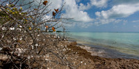 KeyWest-5123-Edit