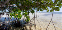 KeyWest-5160-Edit