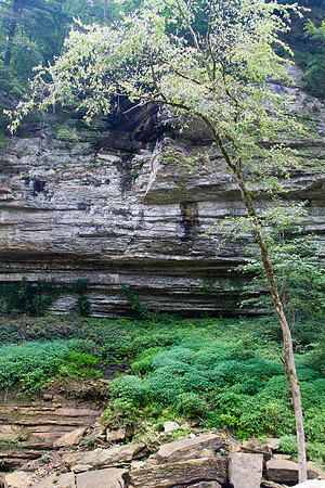 CumminsFalls080611_039
