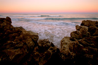 Coral Cove SS E