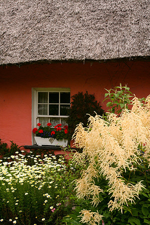 Ireland-198