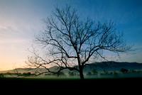 Cades Cove Morning Glow E