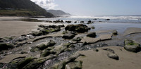 _MG_2874P