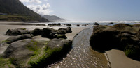 _MG_2875P