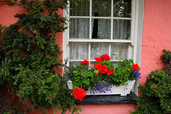 Ireland-203